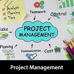 Project management